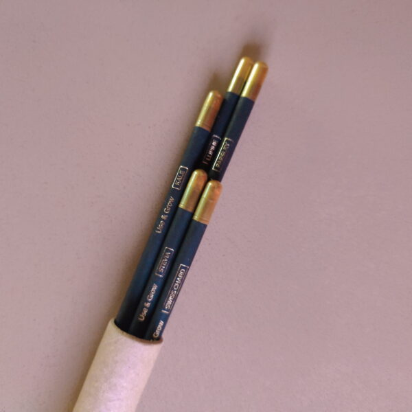 Premium Seed Pencil (set of 5)