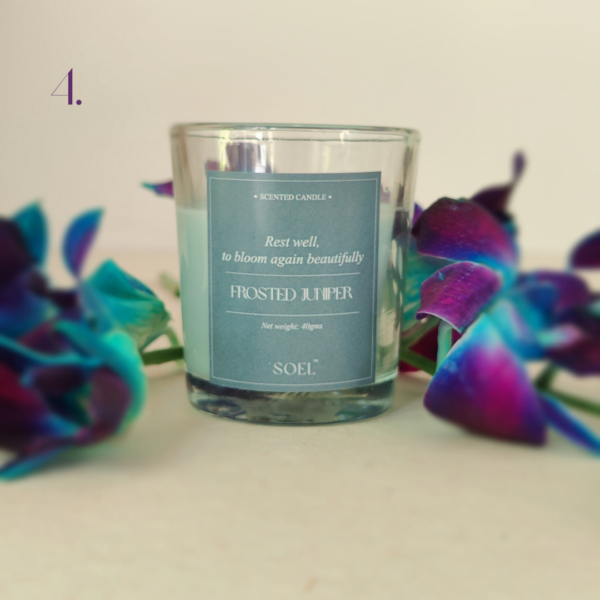 scented candles rated #1 corporate gifting brand in Gujarat