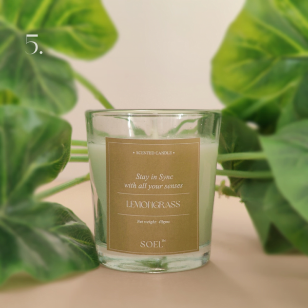 scented candles rated #1 corporate gifting brand in Gujarat