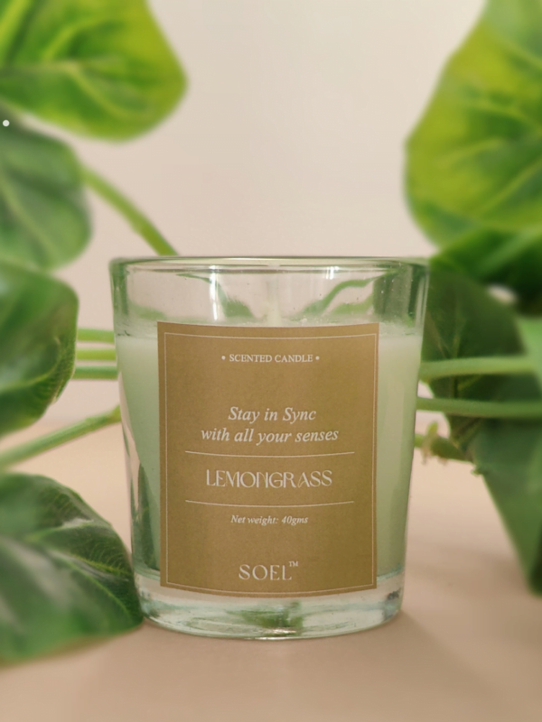 scented candles rated #1 corporate gifting brand in Gujarat