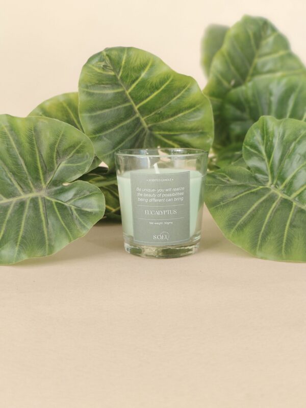 scented candles rated #1 corporate gifting brand in Gujarat