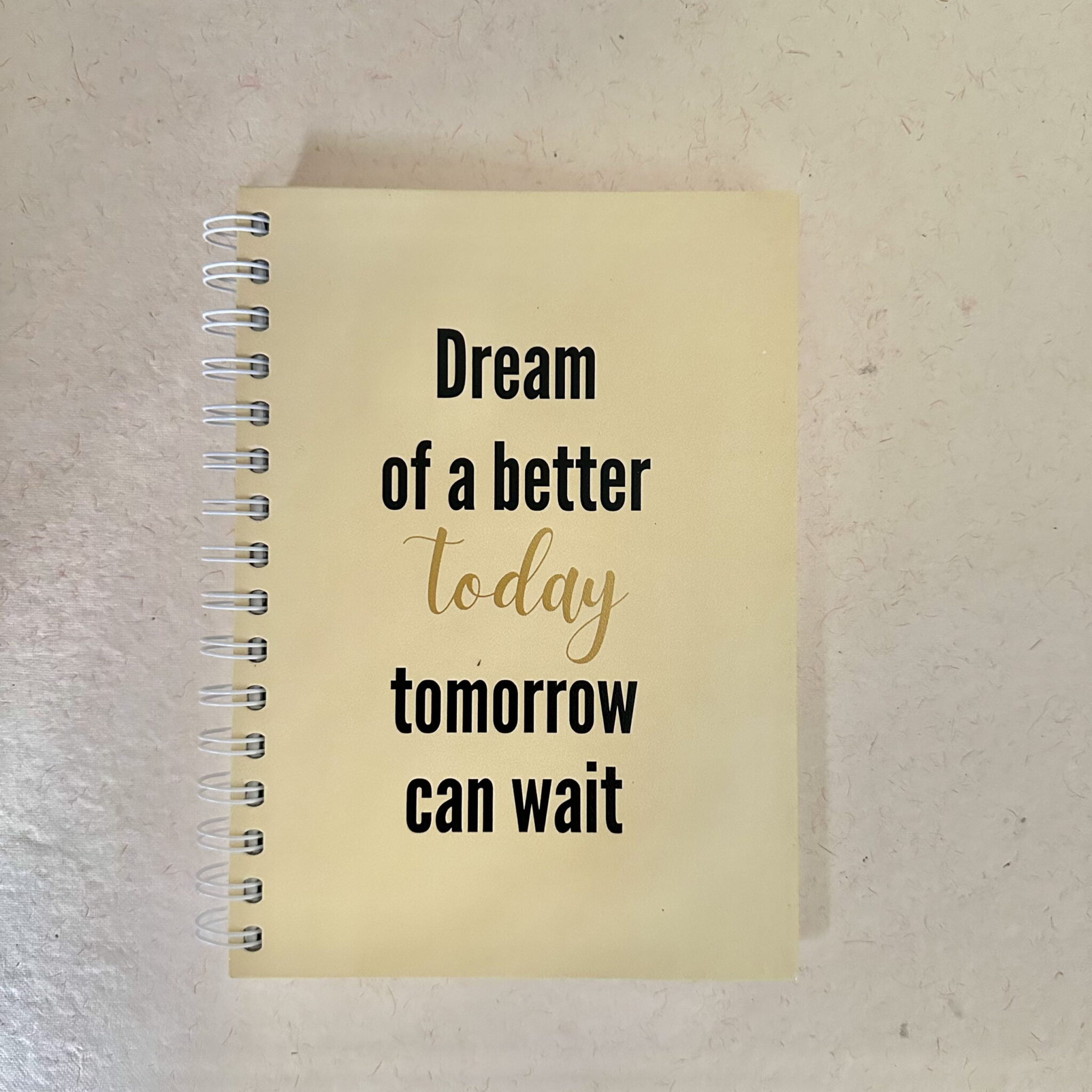 Dream of a Better Today Hardback Diary thumbnail 3