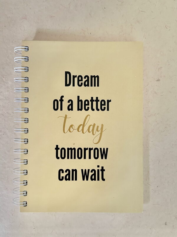 dream wiro diary