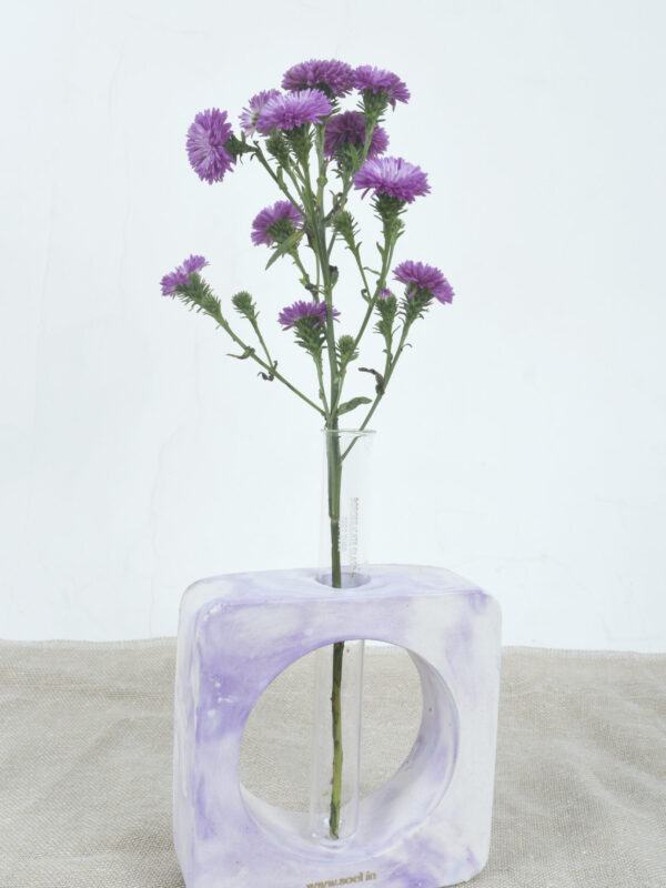 test tube planter rated #1 corporate gifting brand in Gujarat