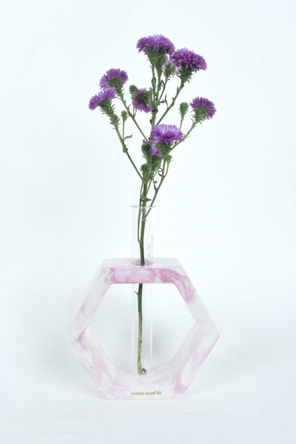 test tube planter rated #1 corporate gifting brand in Gujarat