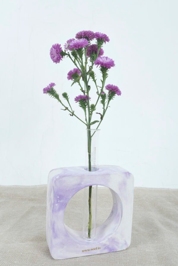 test tube planter rated #1 corporate gifting brand in Gujarat