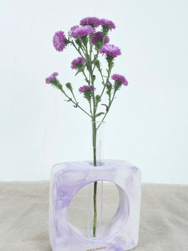 test tube planter rated #1 corporate gifting brand in Gujarat